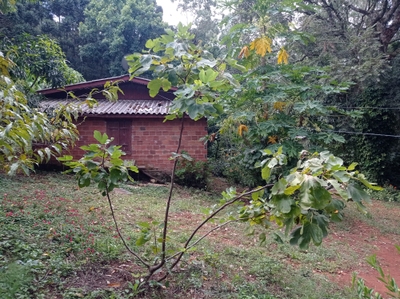 Chácara, 3 quartos, 6 hectares - Foto 5