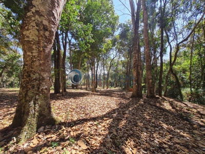 Sítio, 1 quarto, 12 m² - Foto 2