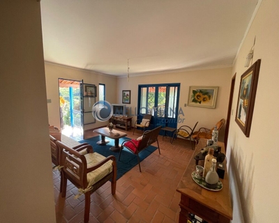 Sítio, 3 quartos, 30 hectares - Foto 4