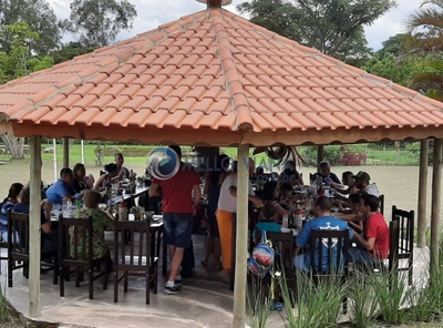 Chácara, 14 quartos, 2 hectares - Foto 5