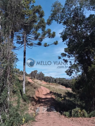 Chácara, 2 hectares - Foto 1