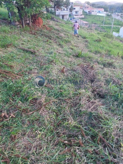 Terreno, 300 m² - Foto 3