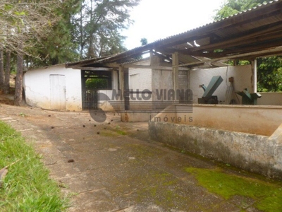 Sítio, 3 quartos, 6 hectares - Foto 5