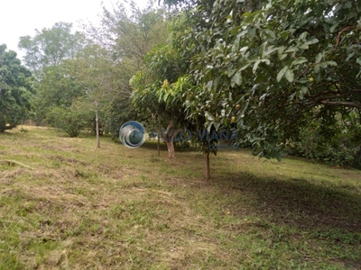 Casa, 4 quartos, 6400 m² - Foto 3