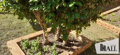 Chácara, 3 quartos, 1000 m² - Foto 4