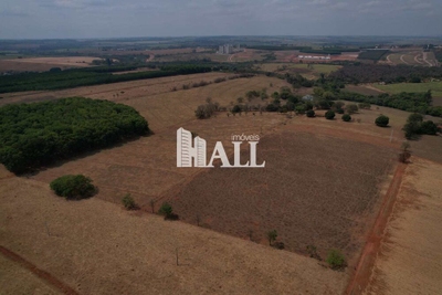 Sítio, 29 hectares - Foto 2