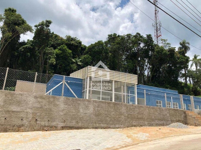 Terreno, 40 hectares - Foto 3