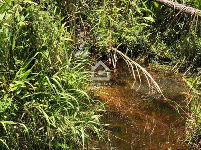 Terreno, 40 hectares - Foto 1