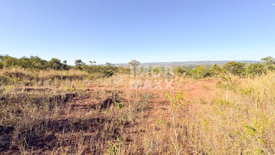 Chácara, 3 hectares - Foto 3