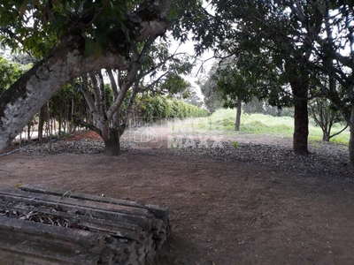 Chácara, 5 quartos, 5 hectares - Foto 3
