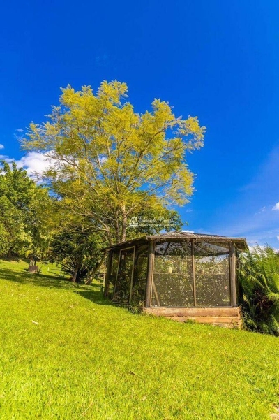 Terreno, 19 hectares - Foto 4