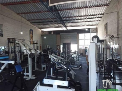 Depósito-Galpão - Foto 3