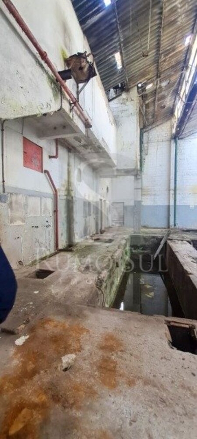 Depósito-Galpão, 1000 m² - Foto 4