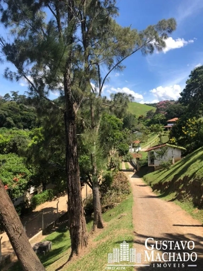 Chácara, 4 quartos, 350 m² - Foto 2