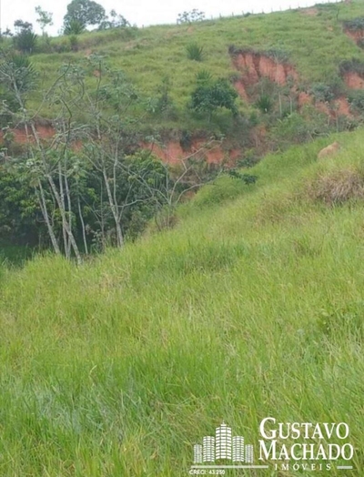 Sítio, 3 quartos - Foto 4