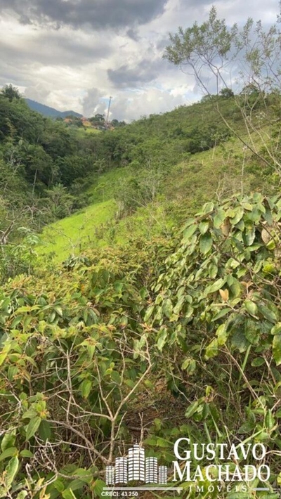 Terreno, 1 hectares - Foto 5