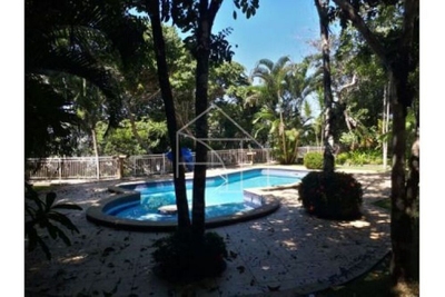 Fazenda-Sítio-Chácara, 5000 m² - Foto 4