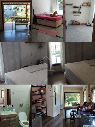 Sítio, 3 hectares - Foto 5