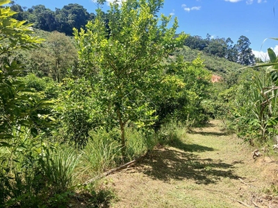 Sítio, 5 quartos, 7 hectares - Foto 2