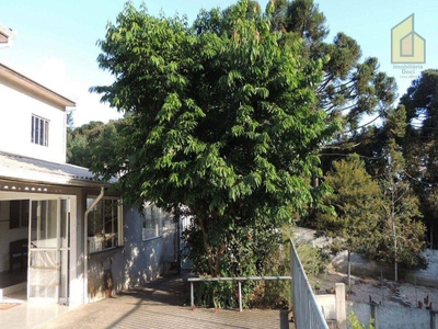 Chácara, 3 quartos, 8000 m² - Foto 4