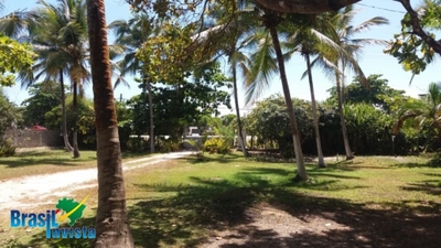 Terreno, 4582 m² - Foto 1