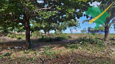 Terreno, 32 hectares - Foto 3