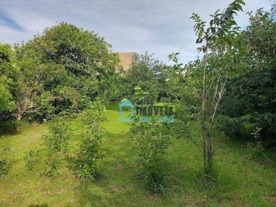 Terreno, 450 m² - Foto 5