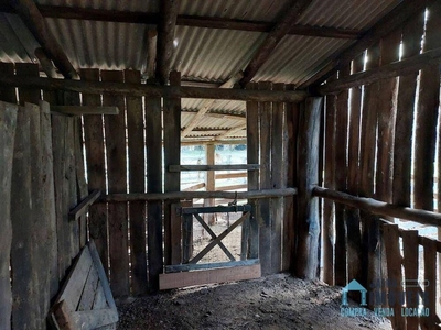 Sítio, 3 quartos, 13 hectares - Foto 5