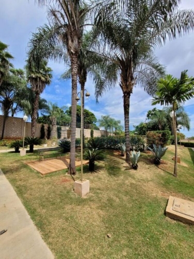 Apartamento - Foto 3