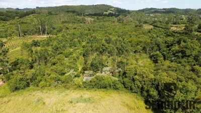 Sítio, 1 quarto, 7 hectares - Foto 3