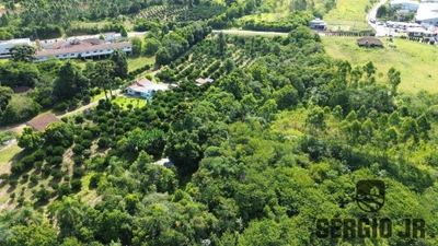 Sítio, 1 quarto, 7 hectares - Foto 5