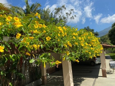 Casa, 5 quartos, 722 m² - Foto 1