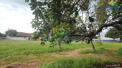 Terreno, 3840 m² - Foto 5