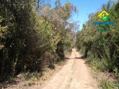 Chácara, 1 quarto - Foto 1