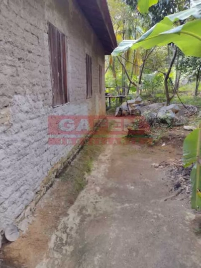 Terreno, 23 hectares - Foto 5