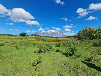 Fazenda-Sítio-Chácara, 252 hectares - Foto 3