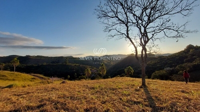 Terreno, 2100 m² - Foto 5