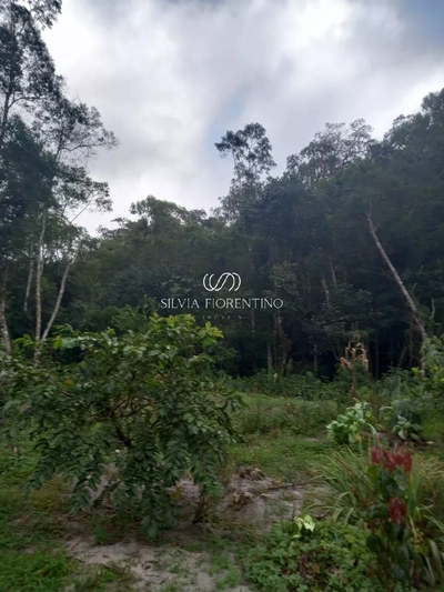 Fazenda-Sítio-Chácara, 240 hectares - Foto 2