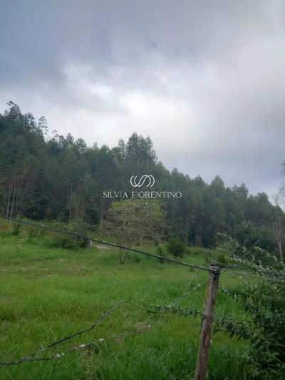 Fazenda-Sítio-Chácara, 240 hectares - Foto 3