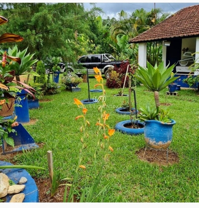 Sítio, 3 quartos, 7 hectares - Foto 3