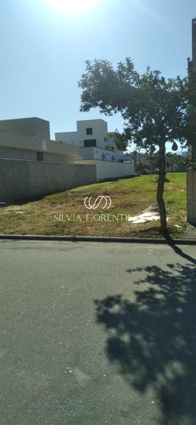 Terreno, 250 m² - Foto 5