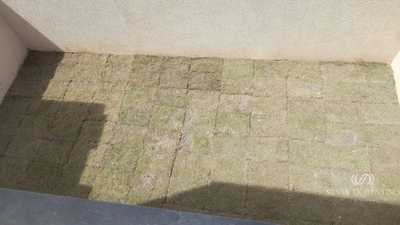 Casa, 3 quartos, 153 m² - Foto 4