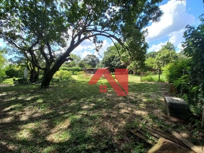 Chácara, 5 quartos, 5060 m² - Foto 3