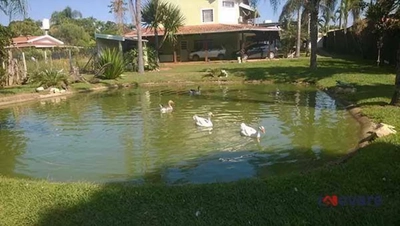 Chácara, 4 quartos, 1024 m² - Foto 2