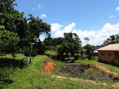 Sítio, 4 quartos, 2 hectares - Foto 4