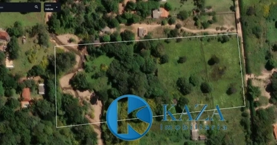 Terreno, 3 hectares - Foto 4