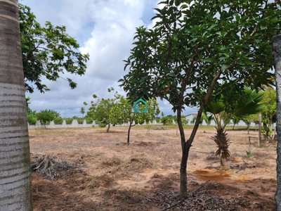 Terreno, 2400 m² - Foto 4