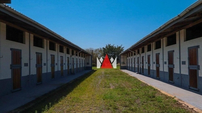 Terreno, 52 hectares - Foto 5