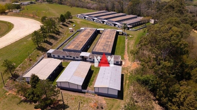 Terreno, 52 hectares - Foto 2