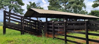 Fazenda, 29 m² - Foto 3